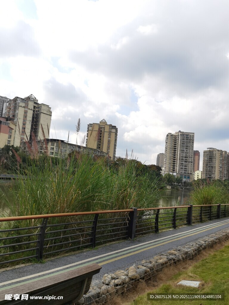 城市旁的轨道与绿植景观