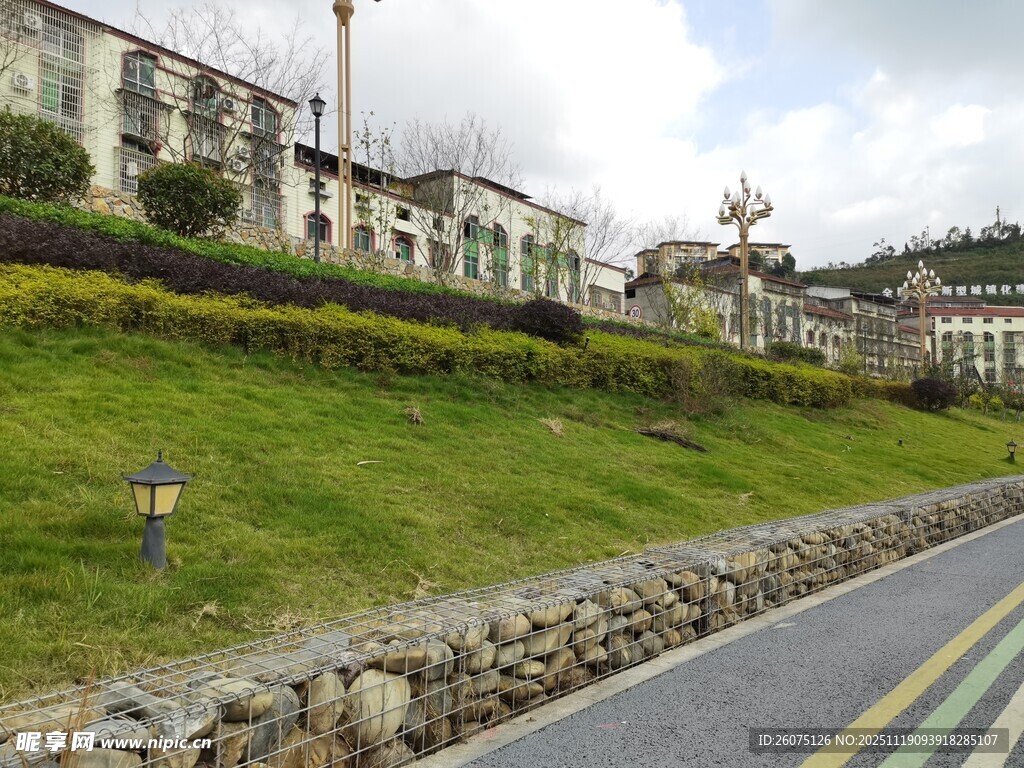 路边绿草如茵的建筑景观