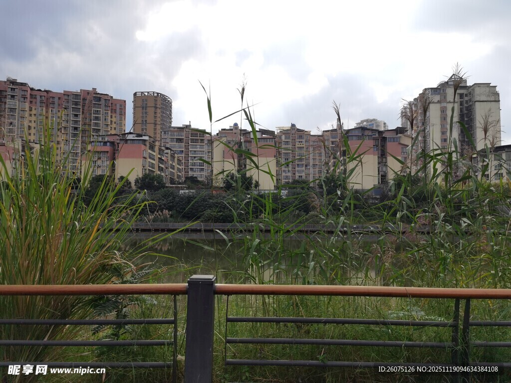 城市旁的绿植景观