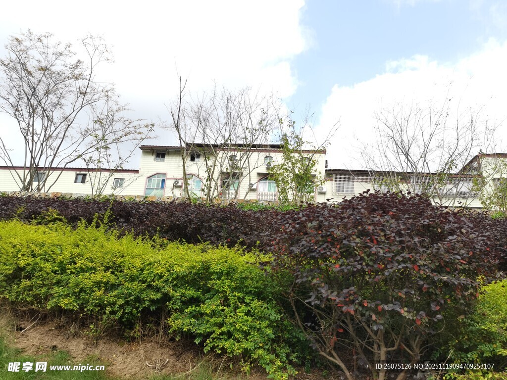 户外绿植环绕的建筑景观