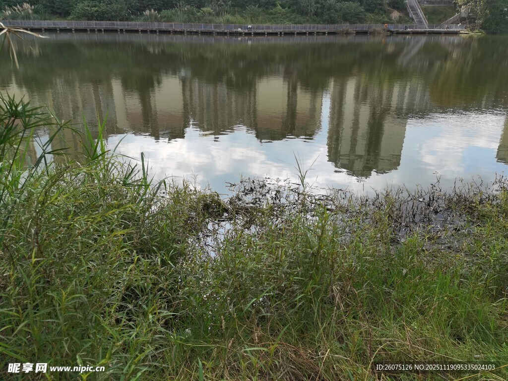 河畔绿植与倒影景观