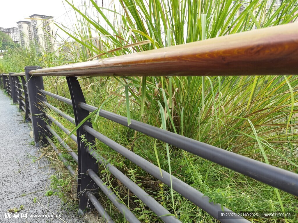 木质栏杆旁的翠绿植物