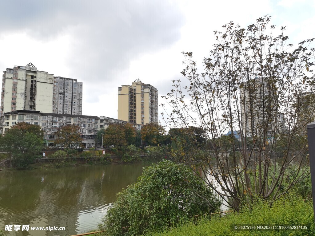 湖畔高楼与绿植景观