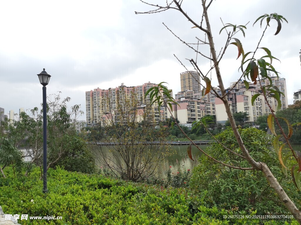 城市湖畔绿植与建筑景观