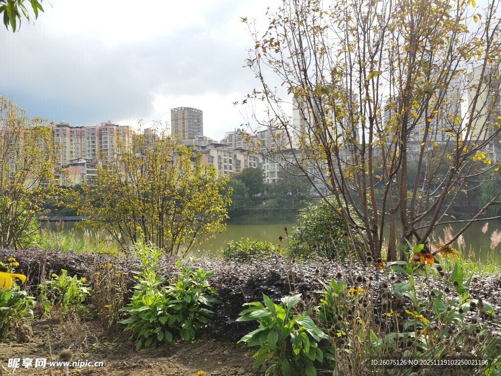 城市边的多彩植物景观