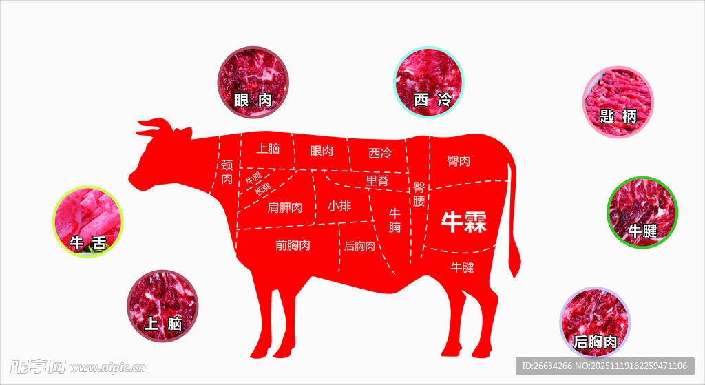 牛肉分割图