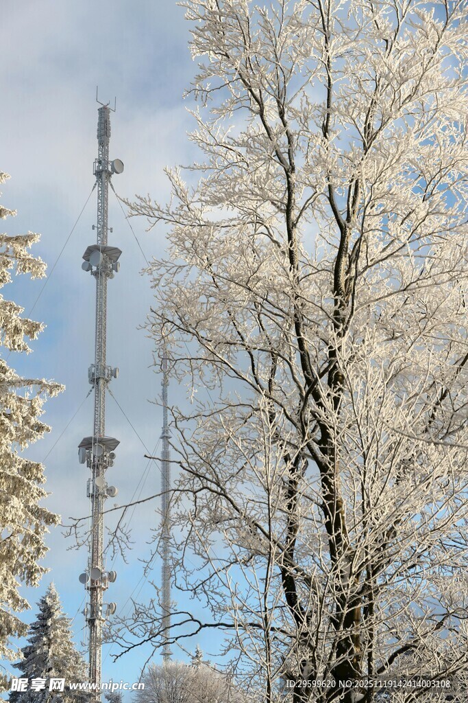 雪覆树木与通信塔景观