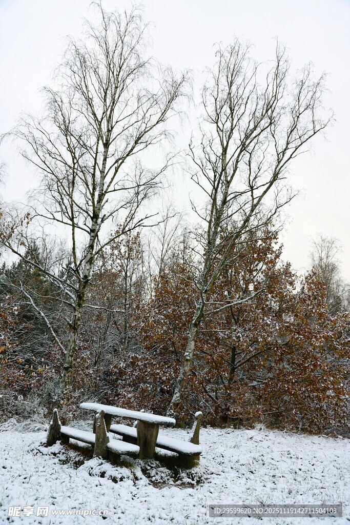 雪后林间的野餐场景