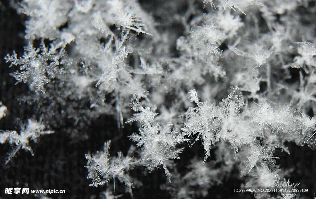 微距下的霜花景观