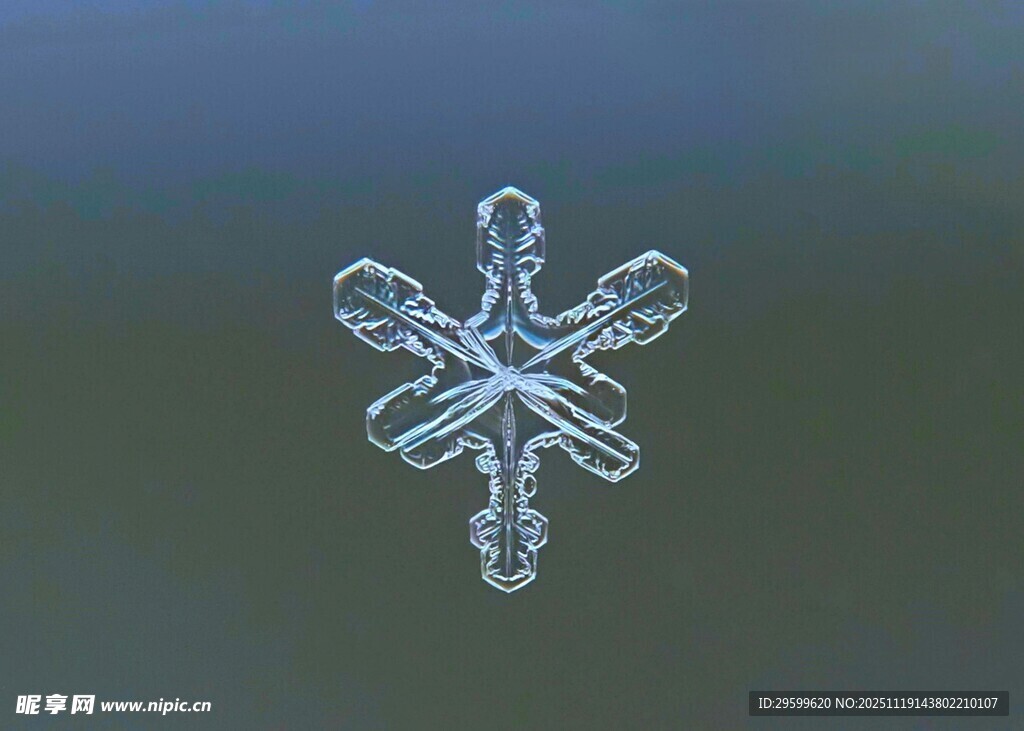 微观下的精美六角形雪花