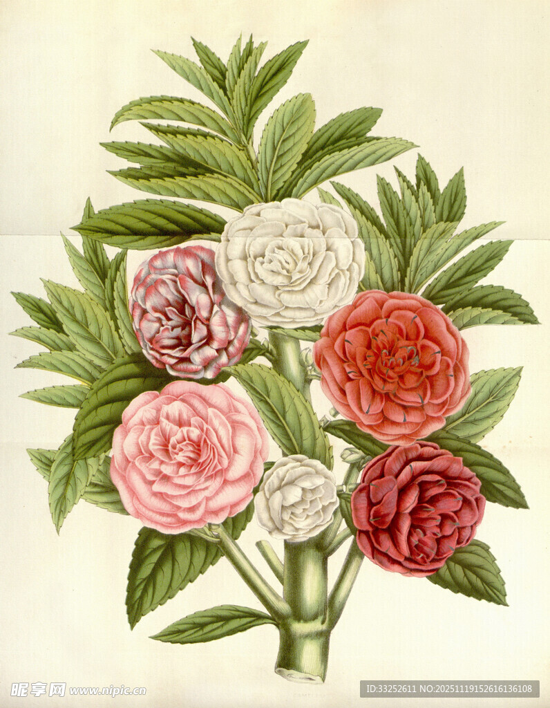 复古风手绘多彩花卉束