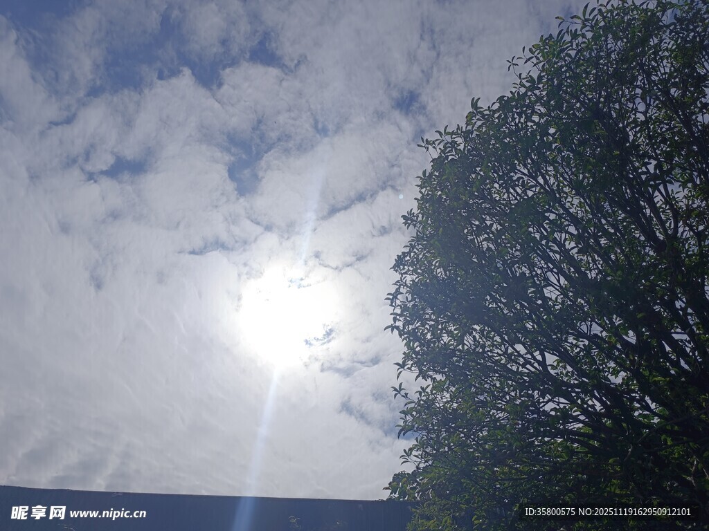 阳光穿透云层照向绿树