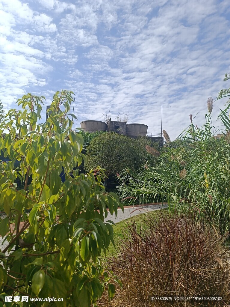 户外绿植环绕的景致