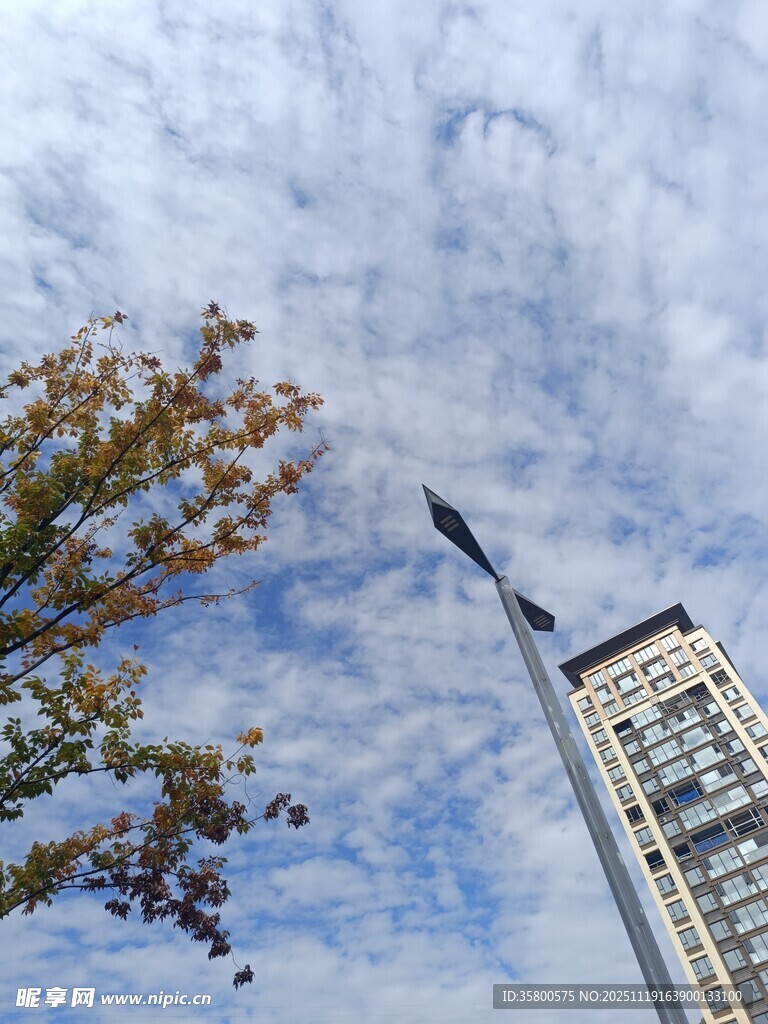 秋日城市天空与建筑景观