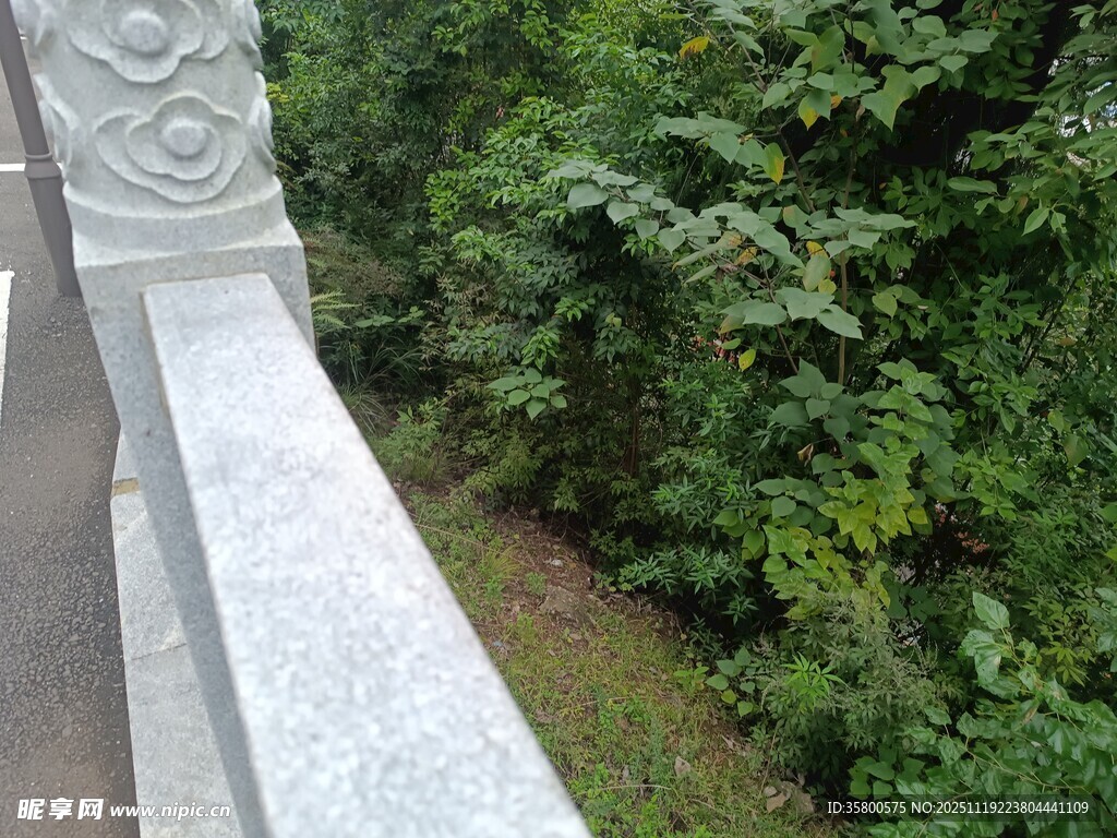 石栏旁的葱郁绿植