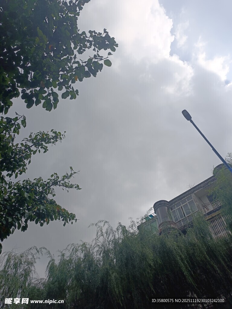 阴天中的建筑与绿植