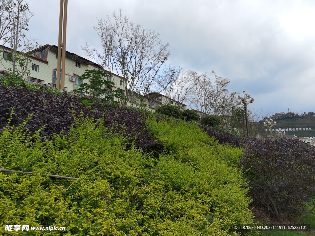 山坡绿植景观