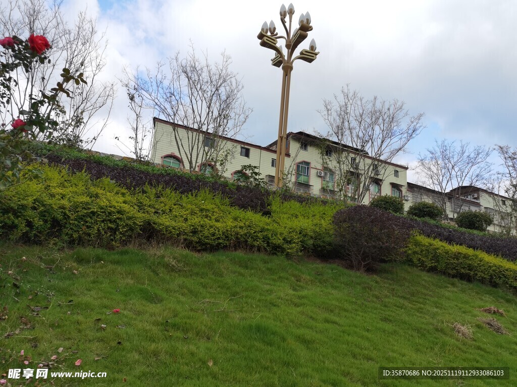 绿草环绕的美丽住宅区