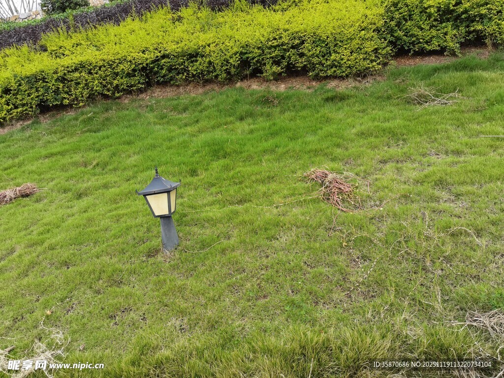 草坪上的户外小灯