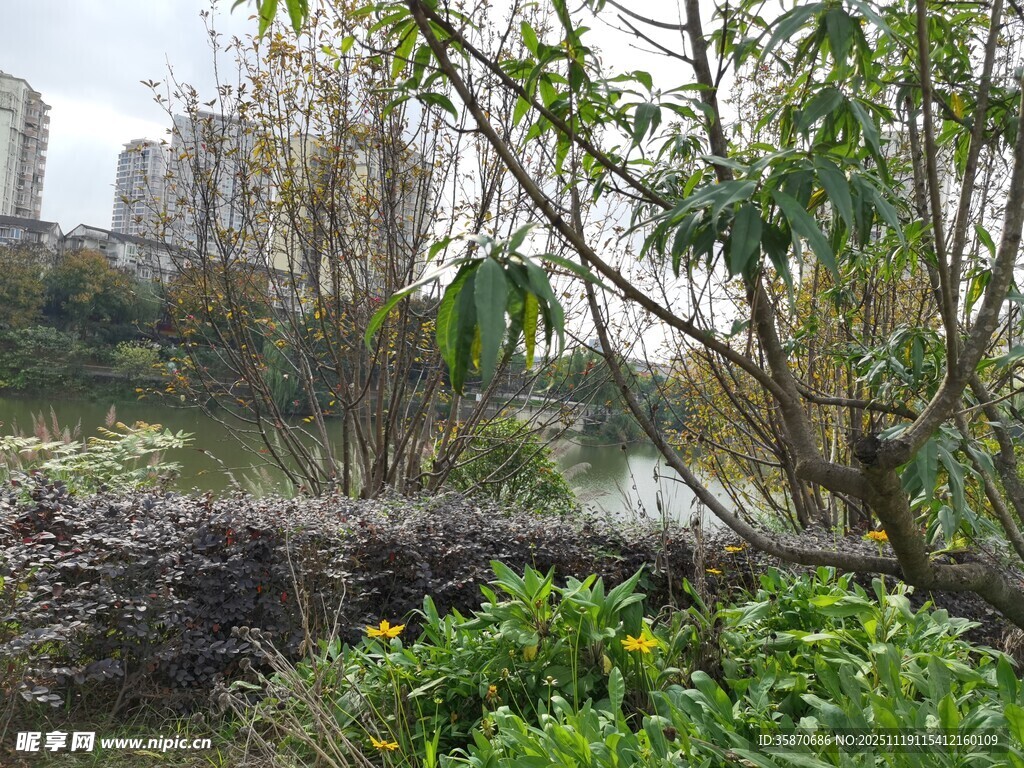 春日绿植与远处建筑景观