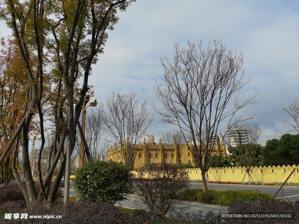 冬日树木环绕的建筑景观