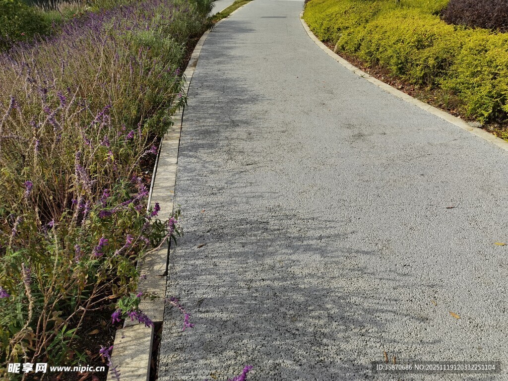 蜿蜒小路旁的绿植景观
