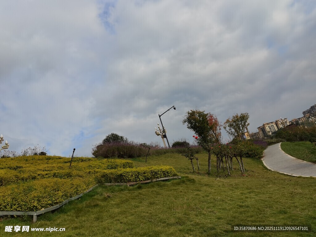 田园风光中的蜿蜒小路