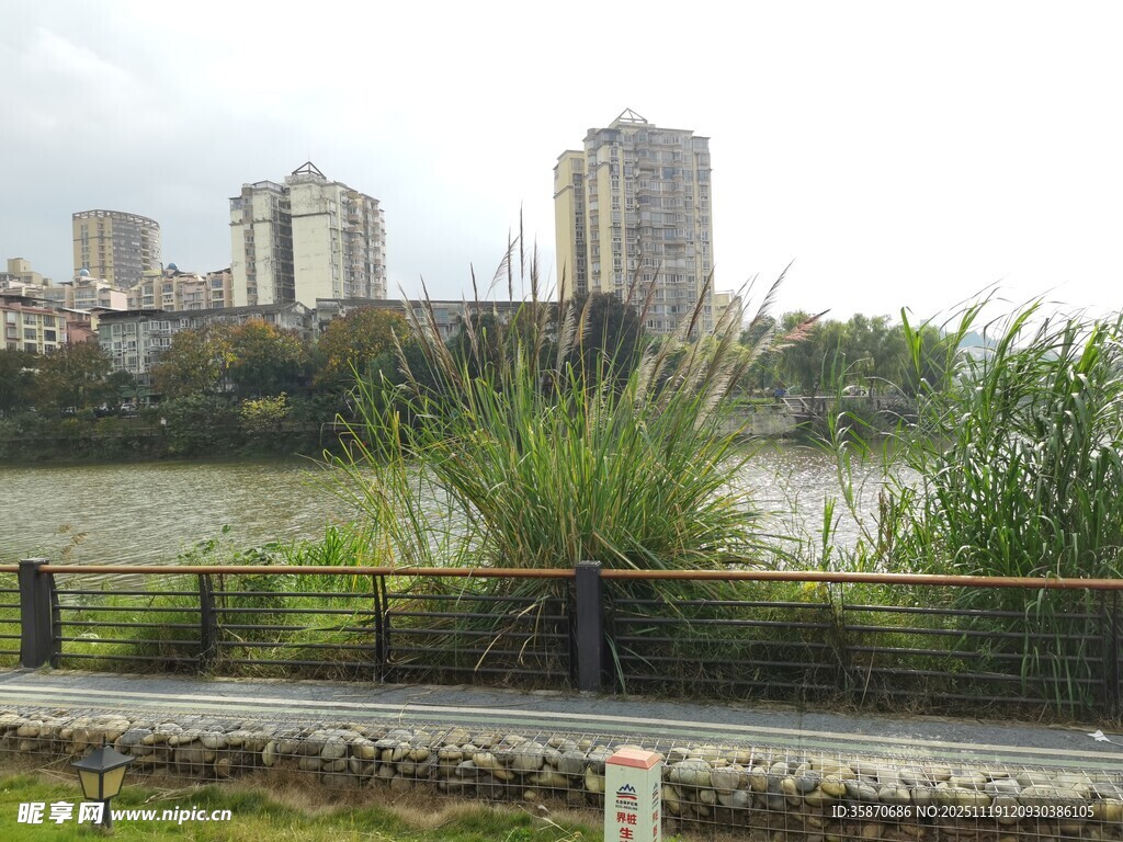 河畔城市风光绿植相伴