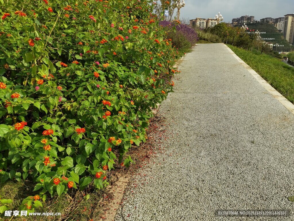 繁花相伴的清幽步道
