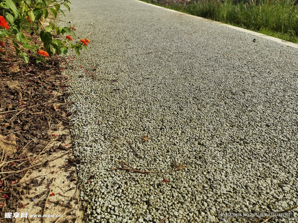 路边碎石小径与绽放花朵