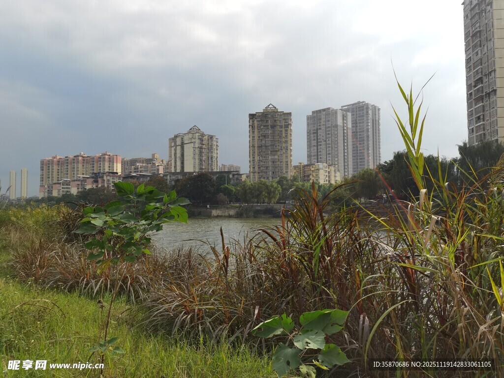 城市河畔绿植与高楼景观
