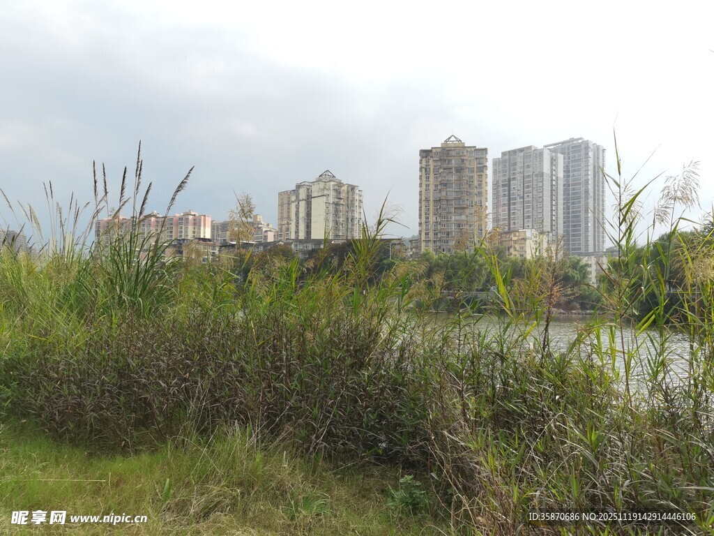 城郊自然与高楼景观