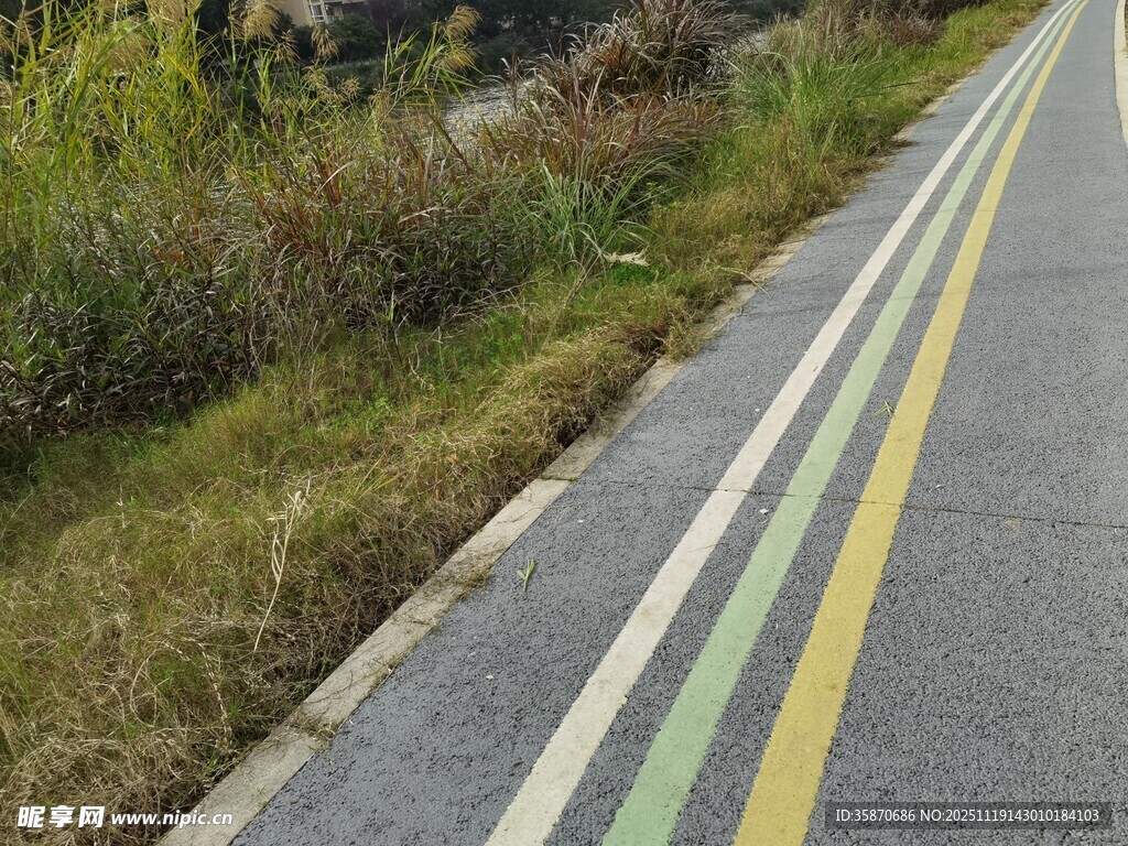 彩色标线的乡村公路