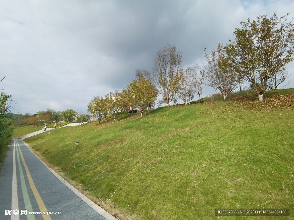 乡村公路旁的绿意景致