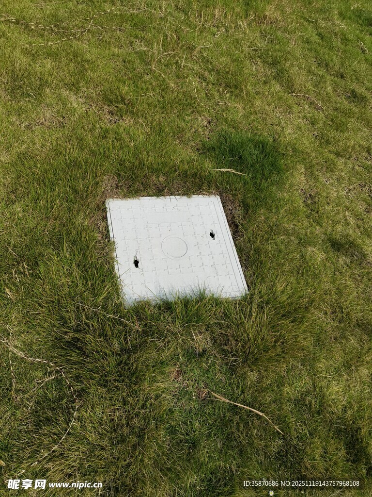 草地上的白色方形物件