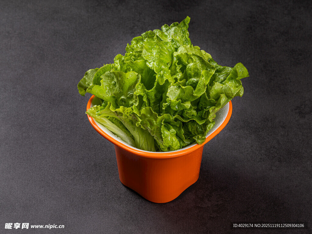 橙色花盆中的鲜嫩生菜