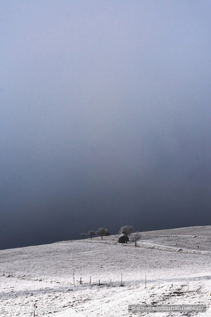 雪地旷野中的孤寂景象