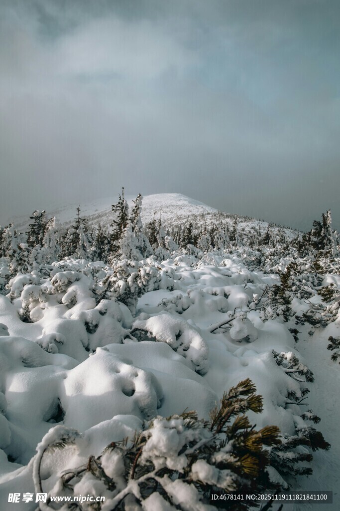 雪覆山林的冬日静谧景象