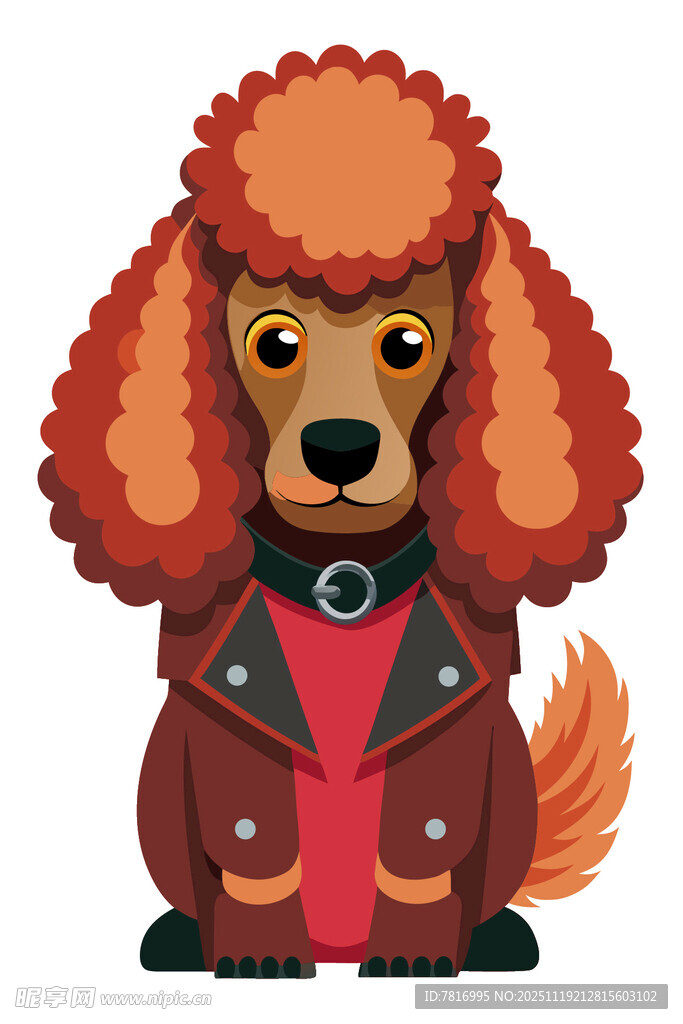 穿着皮夹克的可爱贵宾犬