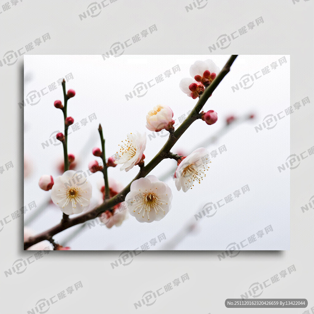 生成可以用作广告的一枝梅花