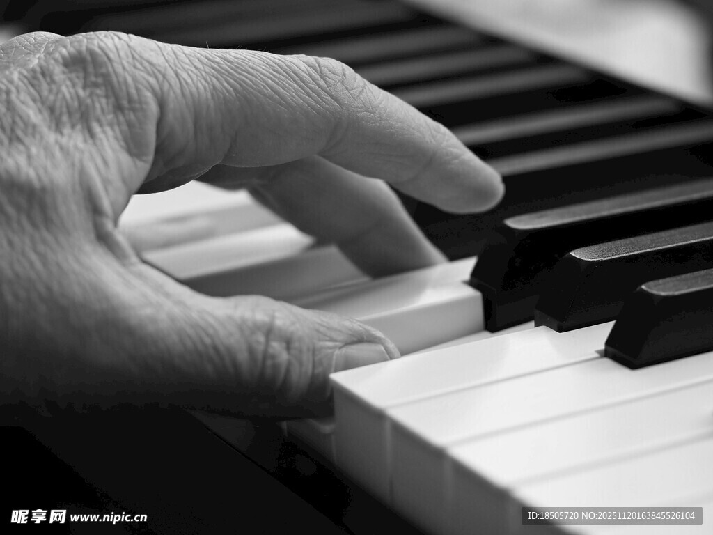 手指在黑白琴键上舞动