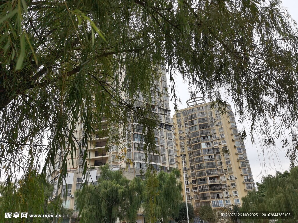 绿树掩映下的高层住宅