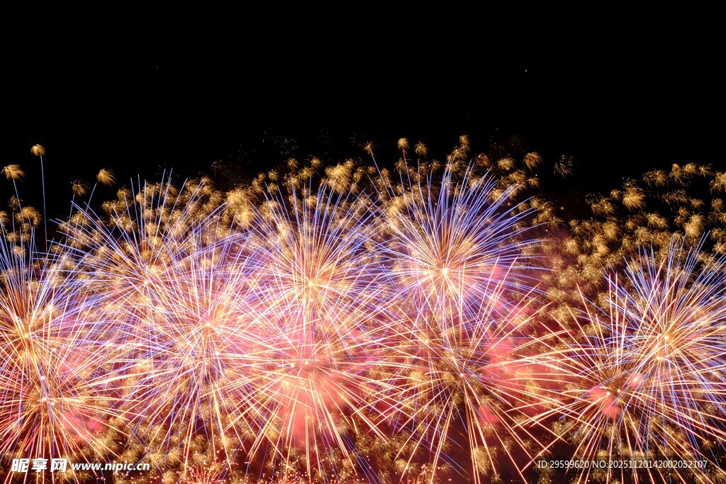 绚丽烟花绽放夜空