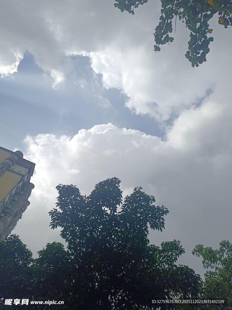 蓝天白云下的绿树景观