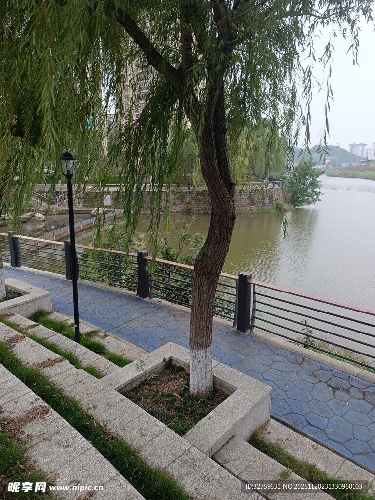 河畔垂柳树荫下的步道