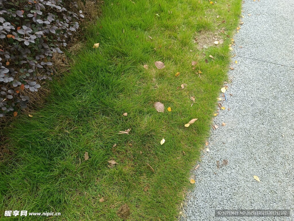路边草地与碎石