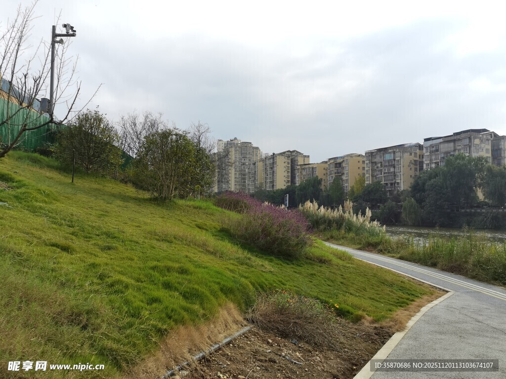 城郊蜿蜒小路旁的绿意风景