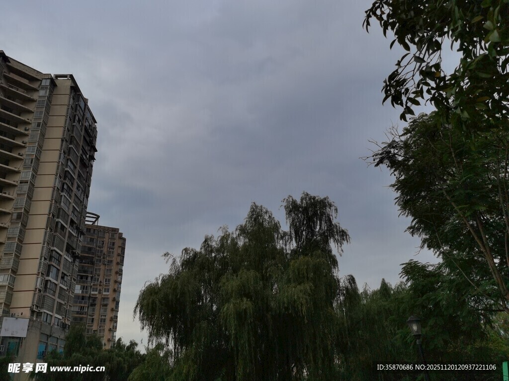 城市中林立高楼与绿树