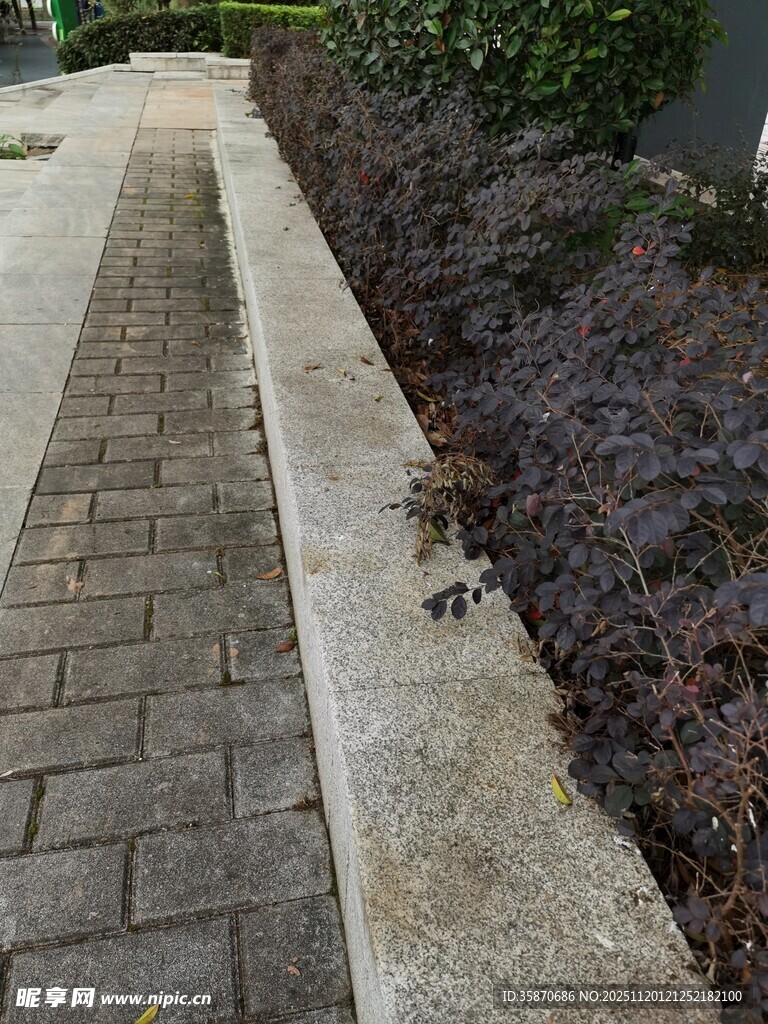 砖砌步道旁的绿植景观