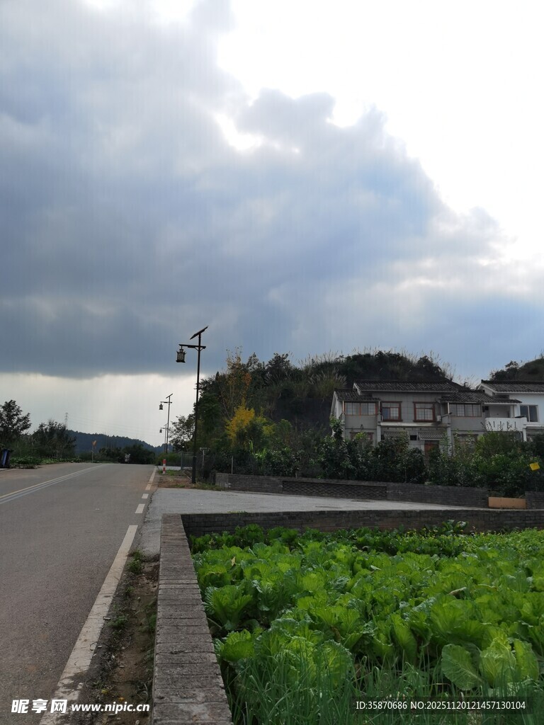 乡村路旁田园风光景致